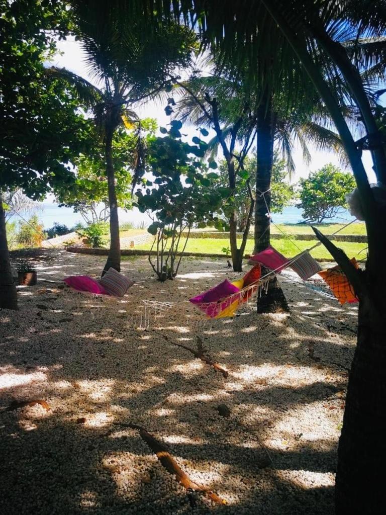 Casa Blanca Eco Hotel Barahona Eksteriør billede